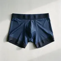 네이비